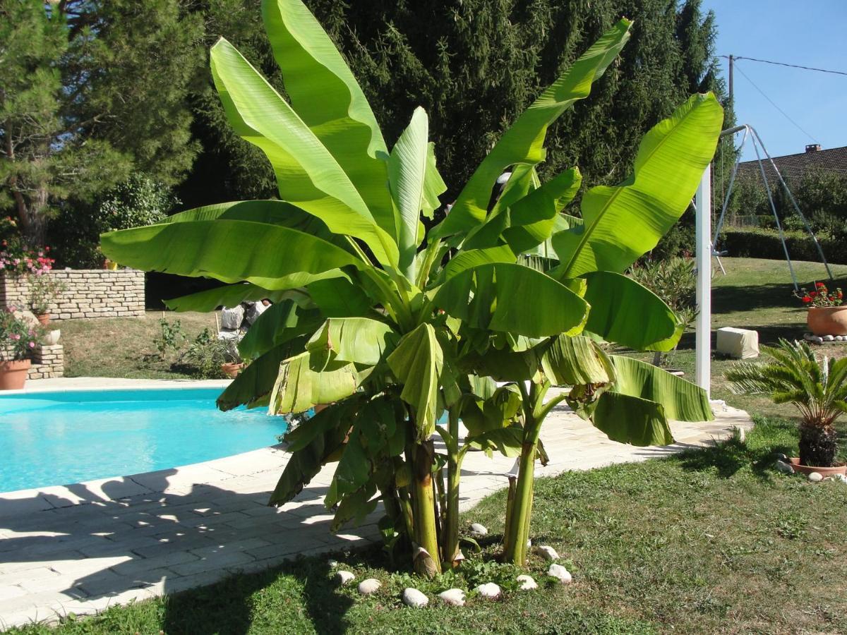 L'Alivu Bed & Breakfast Couches Dış mekan fotoğraf